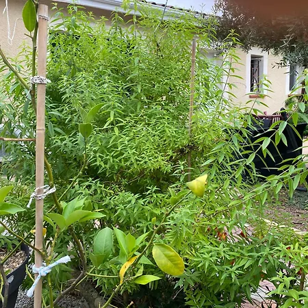 Проживание в семье Chez Ludivine