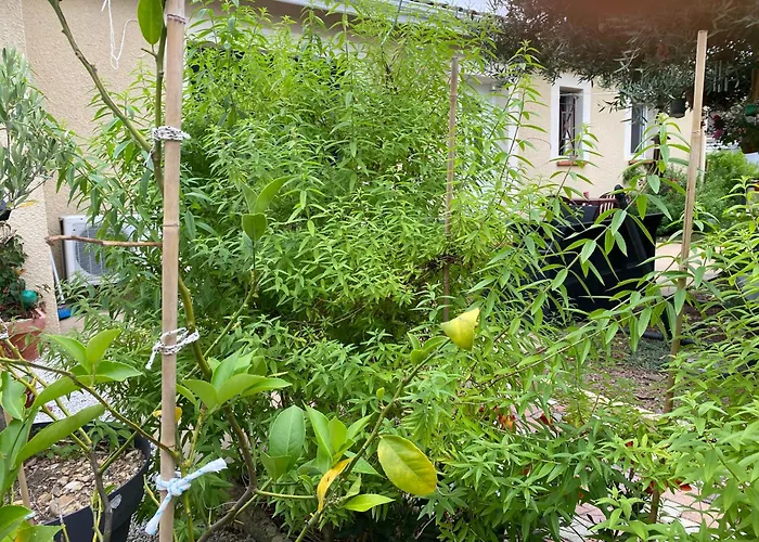 Rum i privatbostad Chez Ludivine