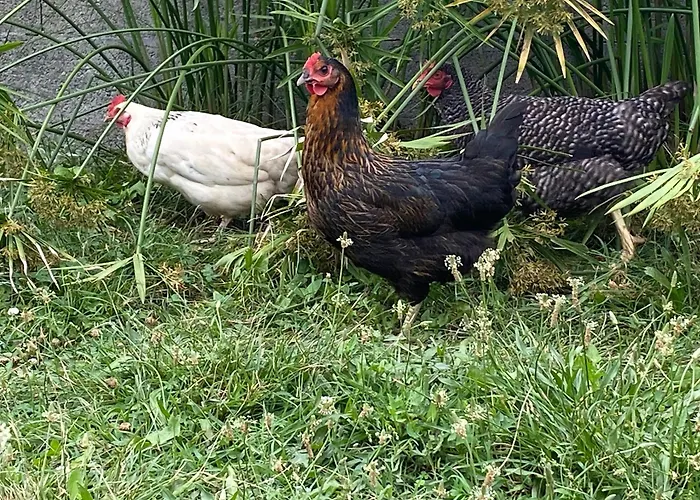 Rum i privatbostad Chez Ludivine *